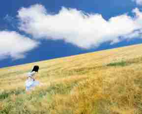 web服‍务﻿安﻿全﻿性﻿